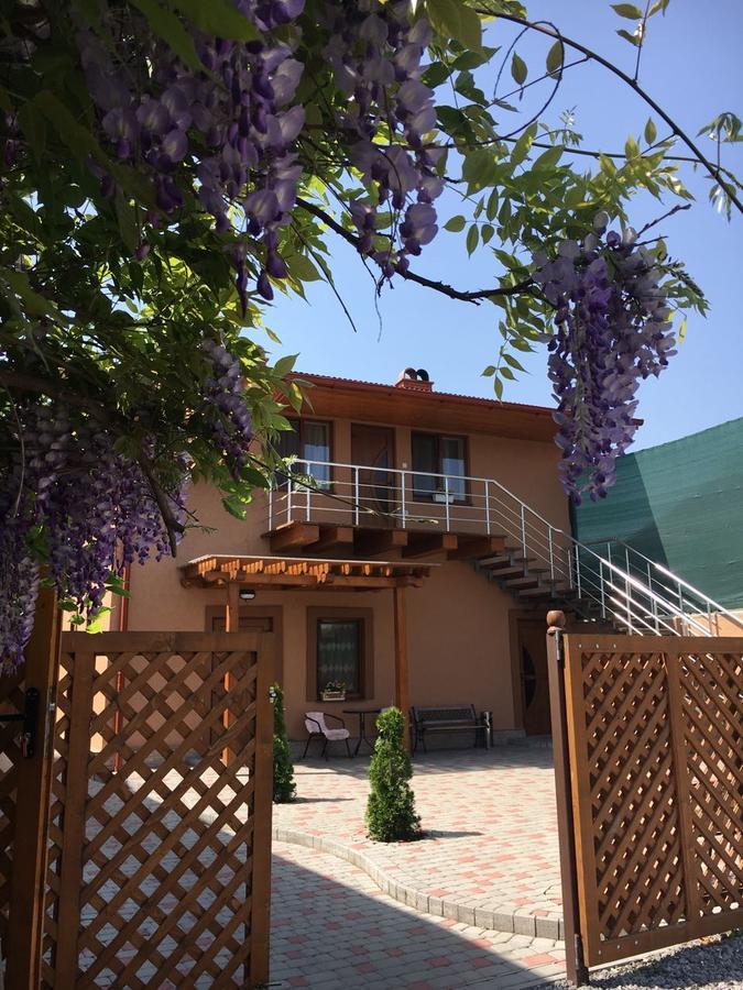 Holiday House Villa Beregovo Exterior foto
